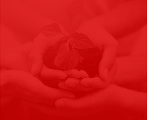 武漢網(wǎng)絡(luò)公司贊多多